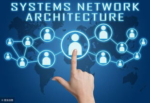 廣州九星創(chuàng)客系統(tǒng)開發(fā) 引領(lǐng)軟件創(chuàng)新的新浪潮