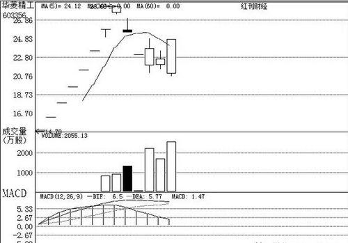 機(jī)構(gòu)關(guān)注個(gè)股之廣州軟件開(kāi)發(fā) 創(chuàng)新驅(qū)動(dòng)與區(qū)域優(yōu)勢(shì)下的投資機(jī)遇